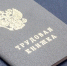 Названия ряда профессий изменятся в России с 2026 года - M24.Ru
