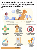 Короткие прогулки и небьющиеся украшения: как сделать праздники безопасными для питомцев