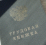 Рынок труда Москвы перенастраивается, в регионах свои особенности - Московская газета