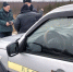 В Подмосковье черные лесорубы нанесли ущерб на 58 тысяч рублей - Комсомольская Правда