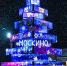 В кинопарке «Москино» установили елку из 184 LED-экранов - Правительство Москвы