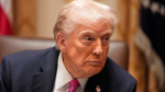 Трамп сообщил, что Россия готова помогать восстанавливать Украину