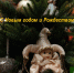 С Новым годом и Рождеством! - Федерация тенниса г. Москвы