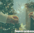 Встречаем Новый год трезво: стартует Неделя профилактики! - ГБУЗ ИКБ №2 ДЗМ