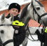 В патруль с новогодним настроением: полиция подготовила лошадей к зимней службе - Вечерняя Москва