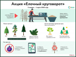 Городские сервисы помогут сообщить о недочетах в содержании контейнерных площадок и правильно утилизировать елку