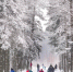 photo-2026-01-01-14-32-34 - Solncewonews.ru