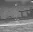 Военные США захватили танкер Sophia в Карибском море - M24.Ru