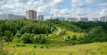 Отменят ли скандальное благоустройство зелёной зоны в Крылатском?