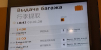 Выдачу багажа на внутренних рейсов в Шереметьеве задержали на 4,5 часа - Вечерняя Москва