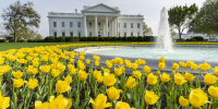 Politico: Франция перенесла саммит G7 из-за турнира по UFC в честь юбилея Трампа - ИА Общественная служба новостей