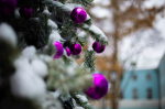 Осташков стал самым дорогим городом для отдыха в январе 2026 года