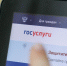 Злостных неплательщиков алиментов теперь можно проверить на Госуслугах - Вечерняя Москва