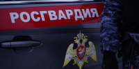 Московские росгвардейцы задержали нарушителя, проникшего ночью в детский сад на Ярославском шоссе (видео) - Росгвардия