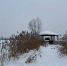 Какие подводные растения поддерживают жизнь Верхнеяузского водно-болотного комплекса зимой? - Национальный парк Лосиный остров
