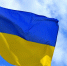 Telegraph: Украина начала использовать наземных роботов в зоне СВО - M24.Ru