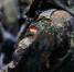 Bild: военнослужащие бундесвера покинули Гренландию без объяснения причин - M24.Ru