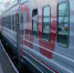 В 2025 году ФПК перевезла более 96 000 домашних питомцев без сопровождения - Molnet.Ru