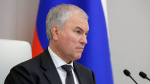 Володин: В ГД обсуждается установление самозапрета на платежи в компьютерных играх