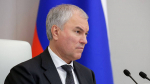 Володин: В ГД обсуждается установление самозапрета на платежи в компьютерных играх