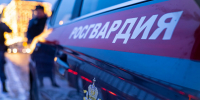 Московские росгвардейцы задержали иностранца, пытавшегося проникнуть в хостел на востоке столицы (видео) - Росгвардия