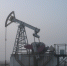 В Индии заявили о снижении закупки российской нефти - Говорит Москва
