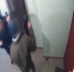 Хулиган с ложкой для обуви напал на пенсионерку в Москве (видео) - Росгвардия