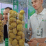 AGRAVIA – курс на прогресс! - Московская правда