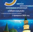 Ивантеевская мечеть готовится к юбилейным торжествам - Совет муфтиев России