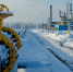В ЕС выразили обеспокоенность нарастающей зависимостью от газа из США - M24.Ru