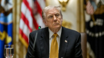 NYT: страны Европы разработали план противодействия Трампу