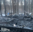 Три человека погибли при пожаре на базе отдыха в Хакасии - M24.Ru