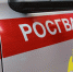 Росгвардия: троих молодых людей задержали в Екатеринбурге за запугивание прохожих - ИА Общественная служба новостей