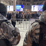 Росгвардия обеспечила безопасность матчей КХЛ в Москве - Росгвардия