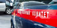 RT опубликовал фото задержания мужчины по делу об убийстве мальчика - ИА Общественная служба новостей