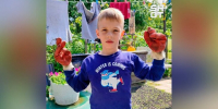 Поиски тела пропавшего мальчика ведутся в деревне Яльгелево в Ленобласти - M24.Ru