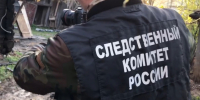 Убитого девятилетнего Пашу в Санкт-Петербурге забили до смерти - ИА Общественная служба новостей