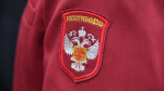 Роспотребнадзор заявил о минимальном риске распространения лихорадки чикунгунья в РФ