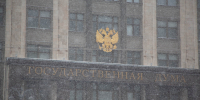 Буцкая призвала власти Петербурга дать отчет об условиях жизни убитого мальчика - ИА Общественная служба новостей