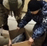 Столичные росгвардейцы спасли серую цаплю, пострадавшую от аномальных холодов - M24.Ru