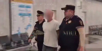 Шизофрения диагностирована у бросившего ребенка об пол в Шереметьево - M24.Ru