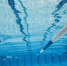 European Aquatics допустила юниоров из России к турнирам с флагом и гимном - M24.Ru