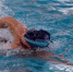 World Aquatics допустила российских юниоров до турниров с флагом и гимном - M24.Ru