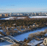 Москва провела 54 аукциона по реализации зданий в 2025 году - M24.Ru