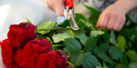 Флорист Котельникова назвала главные ошибки при выборе цветов на 14 февраля - ИА Общественная служба новостей
