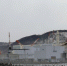 Kyodo: реактор крупнейшей в мире АЭС задерживает выработку электричества - M24.Ru