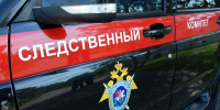 В Подмосковье возбудили уголовное дело после падения сосульки на женщину - ИА Общественная служба новостей