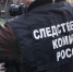 СК: тело убитой в Дубае стюардессы из Санкт-Петербурга было облито зеленкой - ИА Общественная служба новостей