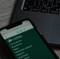 На платформе «Активный гражданин — детям» начался опрос по выбору имен для трех собак из приюта. Фото: Анна Быкова, «Вечерняя Москва» - Москва.Центр