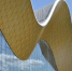 Первенство по фехтованию проведут в  Лужниках . Фото: Анна Быкова, «Вечерняя Москва» - Район Хамовники